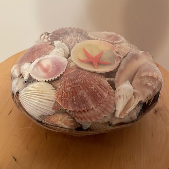 Shell Home Decor - Picture 6 of 9